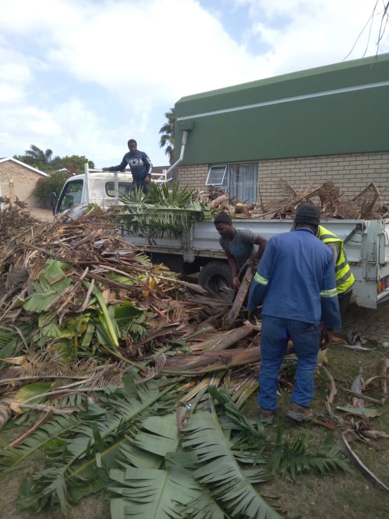 Plot And Bush Clearing Port Elizabeth 768x1024