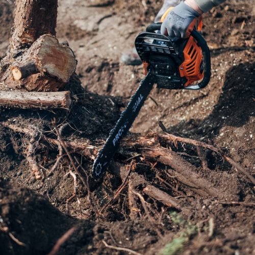 orange and black power tool on brown wood log
