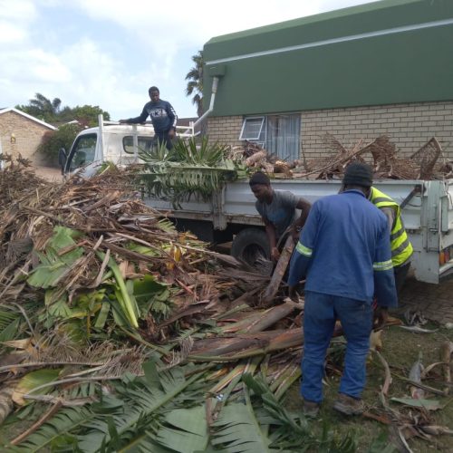 plot and bush clearing port elizabeth