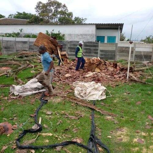 plot and land clearing port elizabeth (3)