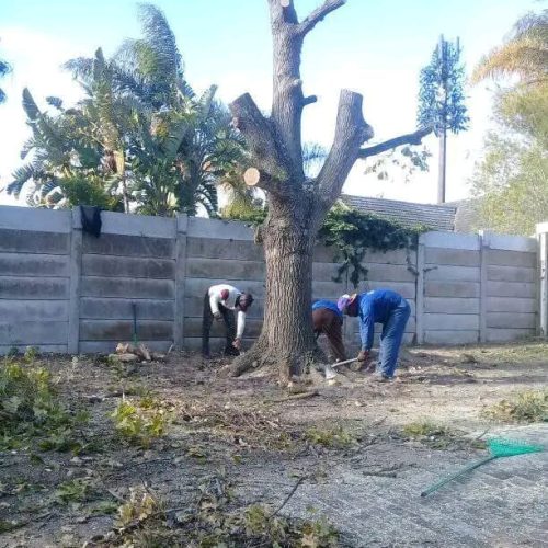 plot and land clearing port elizabeth