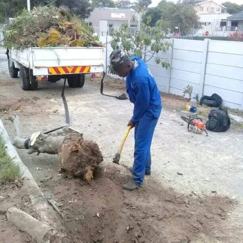 site and land clearing port elizabeth