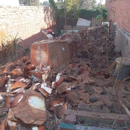 stump removal service port elizabeth